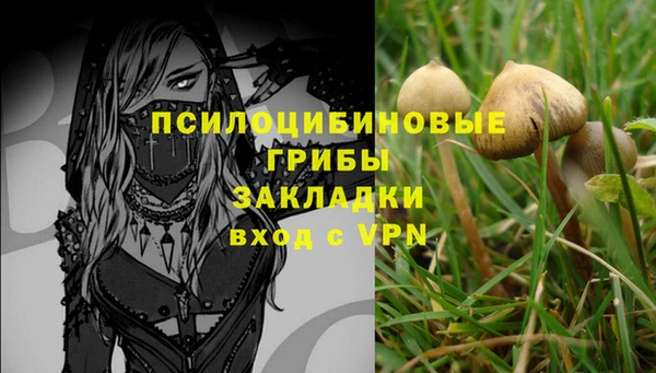 PSILOCYBIN Верхний Тагил